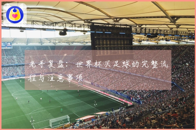 老手复盘：世界杯买足球的完整流程与注意事项