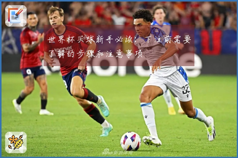 世界杯买球新手必读：下注前需要了解的步骤和注意事项